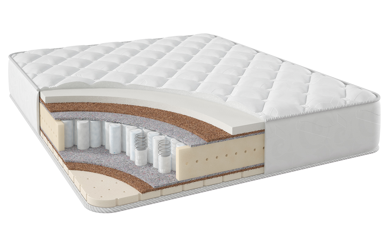 Stories Классик Негус ТФК